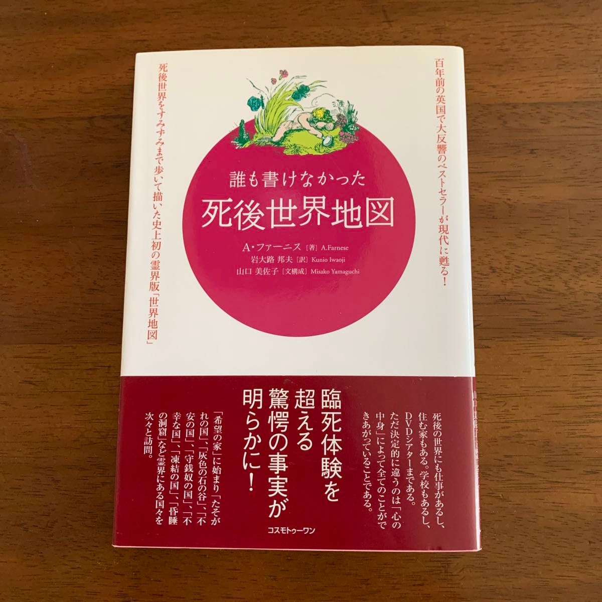 【二手书】无人能绘制的死后世界地图——百年前在英国引发巨大反响的畅销书,如今重现于世!