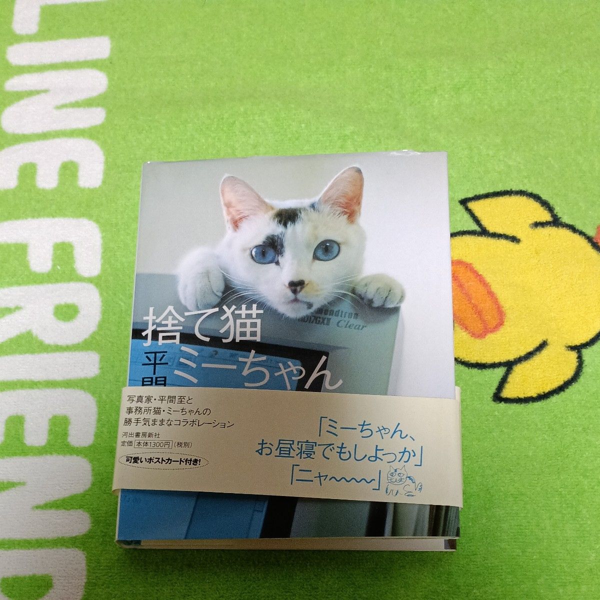 流浪猫咪酱/平间至（作者）