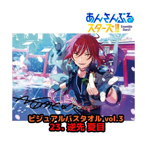 偶像梦幻祭!!视觉浴巾Vol.3 23.逆先夏目【立即交货】安娜娜 · 斯威奇毛巾魔法使