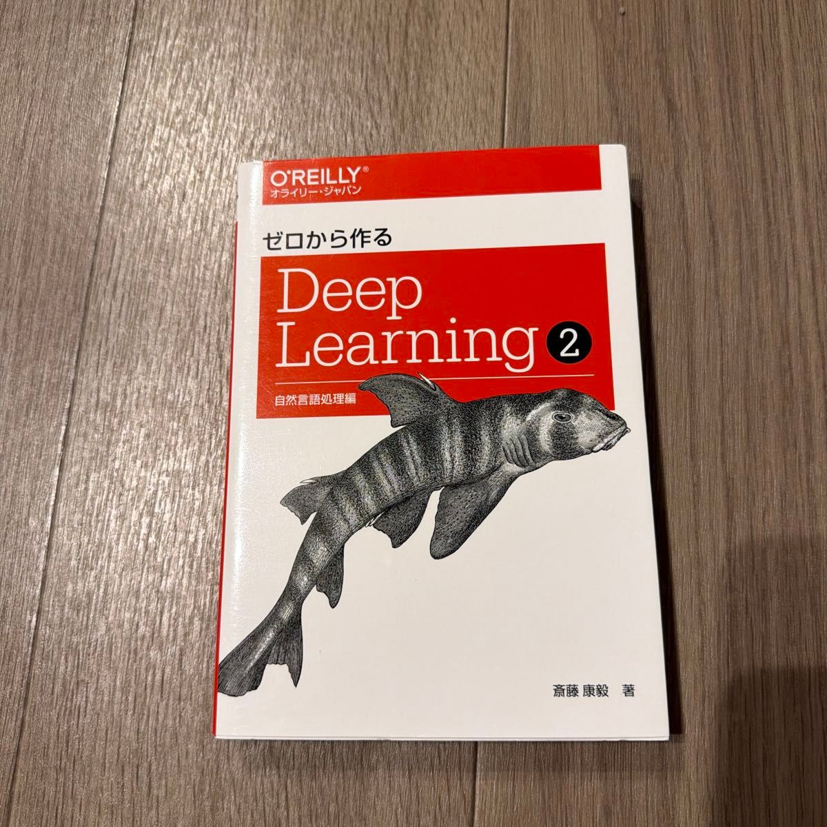从零开始制作的Deep Learning 2斋藤康毅/着