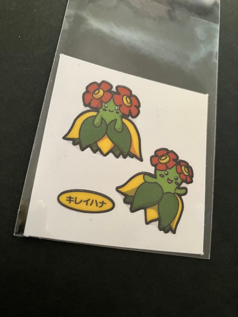 宝可梦 爆焰龟兽 美丽花