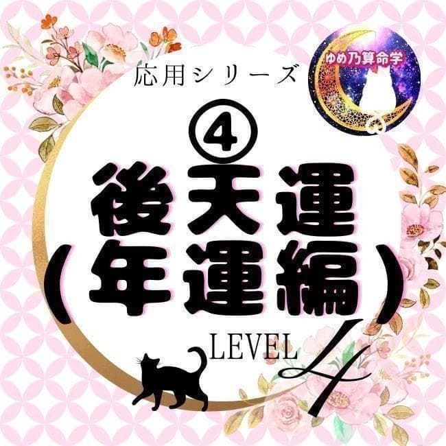 【応用】④後天運早見表(年運編)レベル4 独学 テキスト 鑑定 本