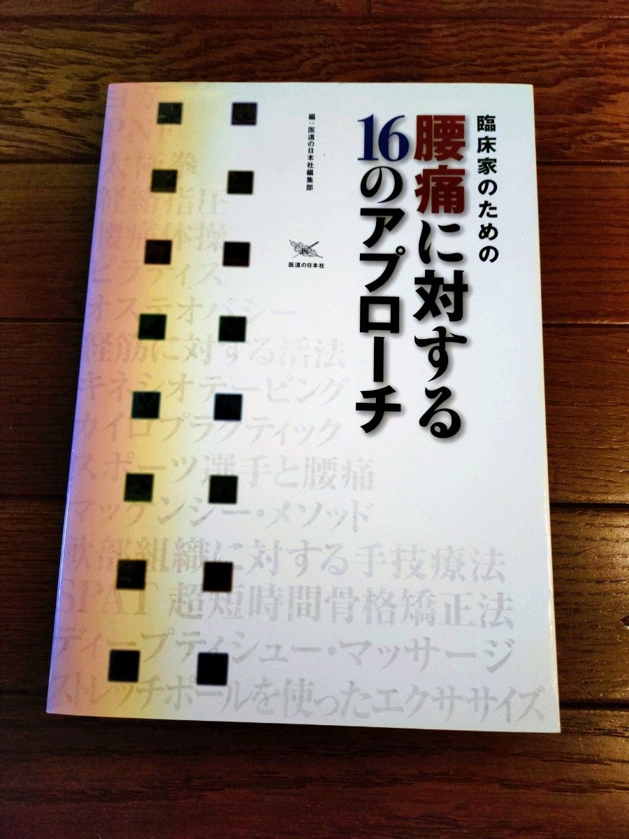 面向临床医生的腰痛16种治疗方法 医道之日本社