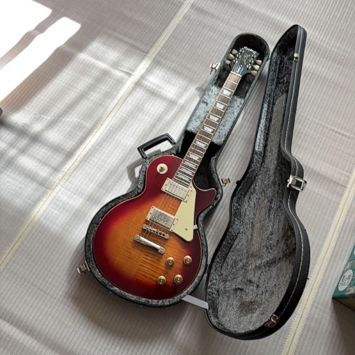 Epiphone Inspired by Gibson Les Paul Standard 50s