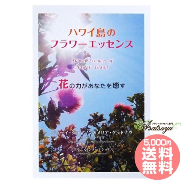 夏威夷岛的花精——花朵的力量将治愈你