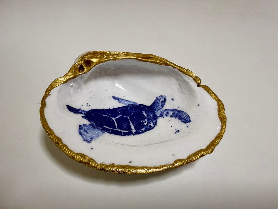 手工制作 贝壳艺术 海龟 油漆托盘