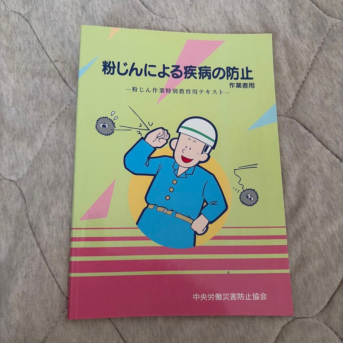 粉尘所致疾病的预防——作业人员专用 粉尘作业特别教育用教材