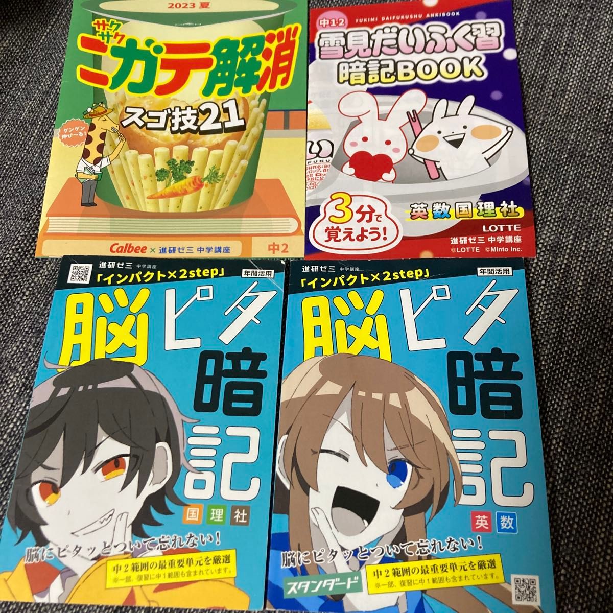 进研Seminar 中学课程 初二 脑Pita记忆BOOK 2册套装 轻松消除弱点 雪见大福记忆Book
