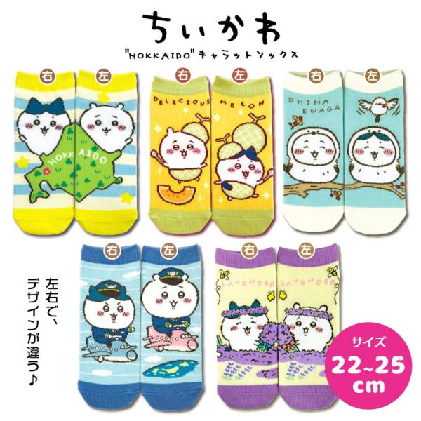[Hokkaido Limited] Chiikawa Character Socks, All 5 Designs, 22-25cm, Women's & Kids' Socks, Local Character Souvenir Gift, Shipping Included