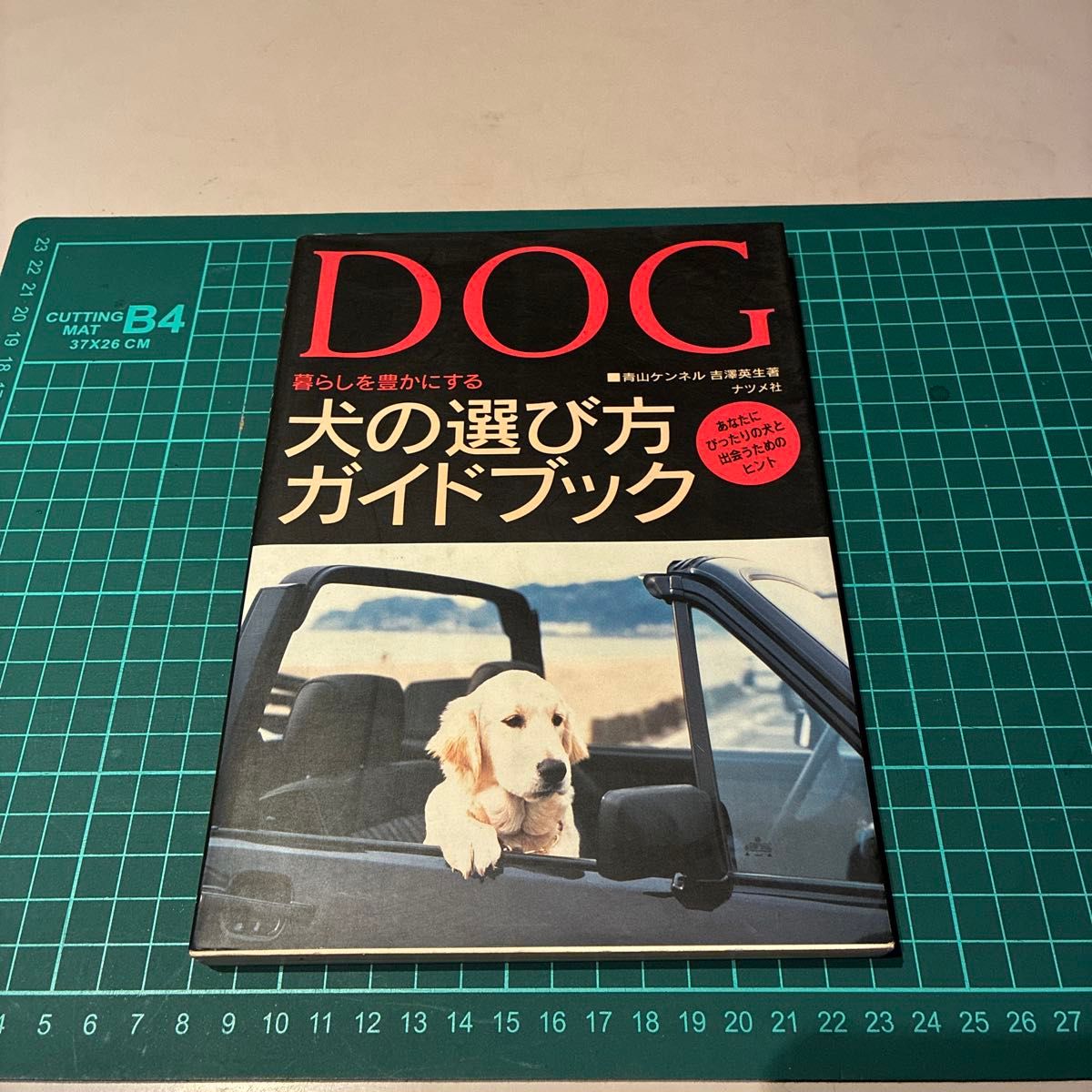 DOG 狗狗选择指南 青山犬舍 吉泽英生 枣出版社