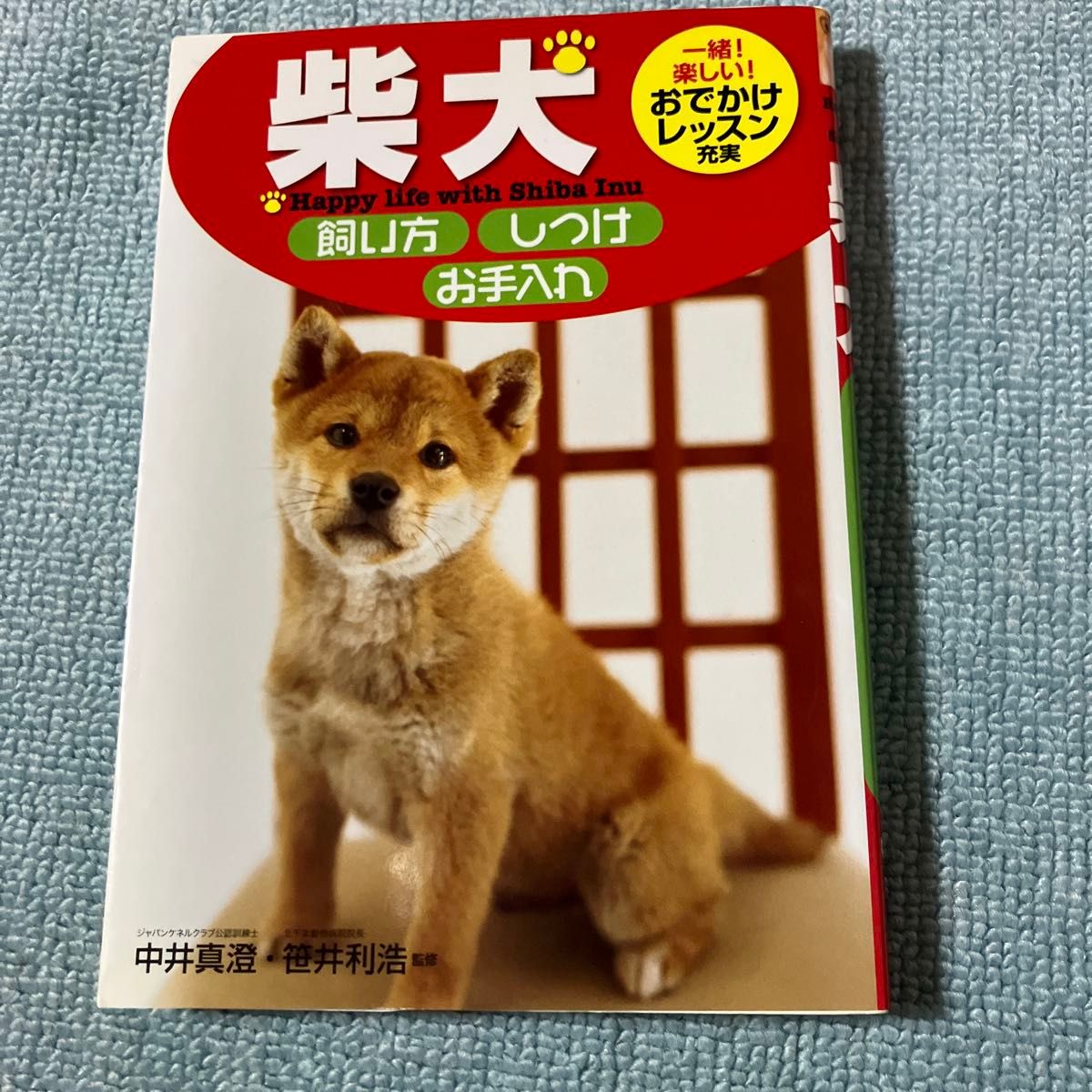 柴犬饲养指南·训练·护理 与柴犬的幸福生活