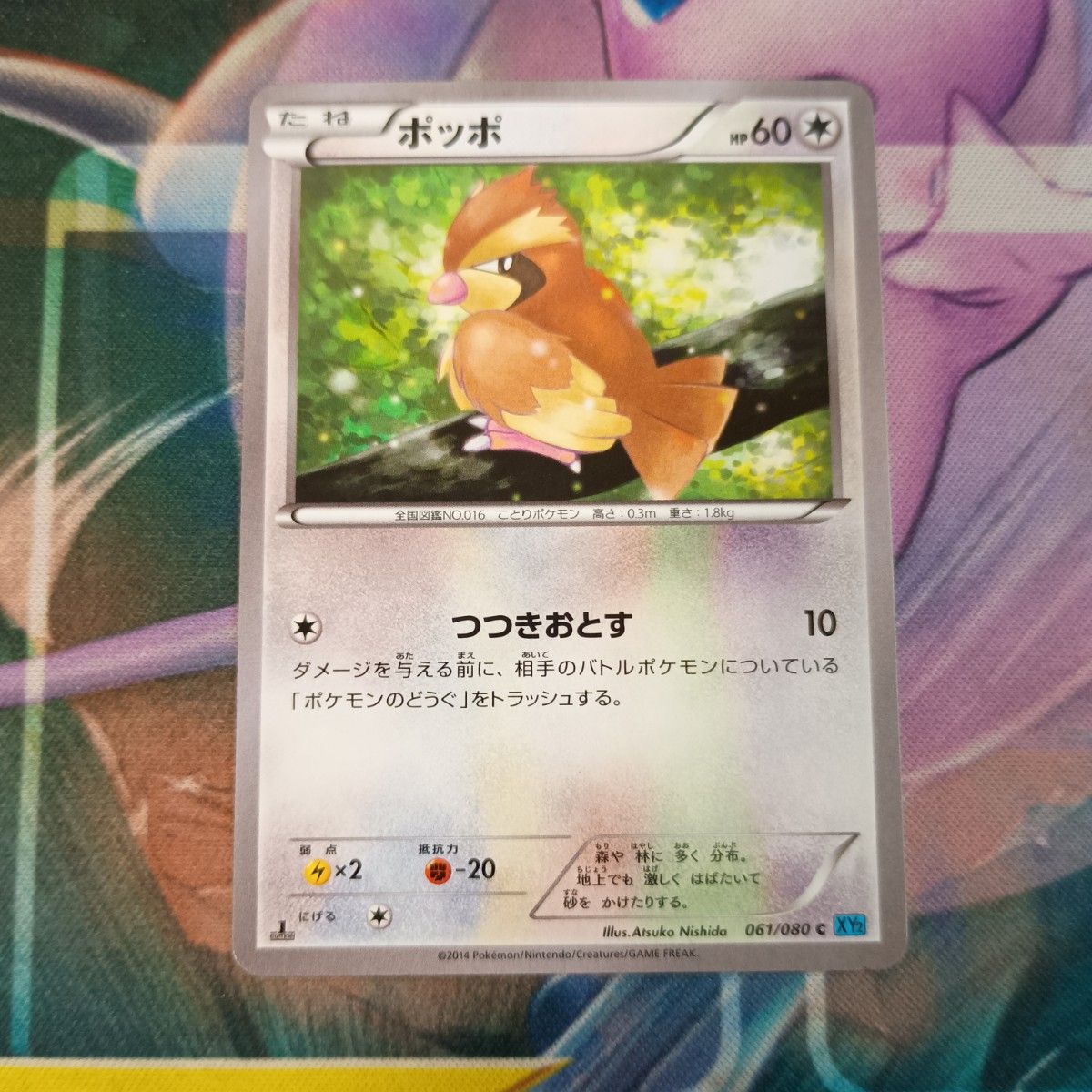 神奇宝贝卡波061/080 C XY2额外1ed