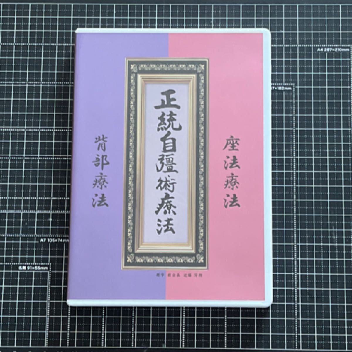 正统自强术疗法 背部疗法 坐法疗法 DVD