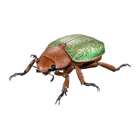 ★立即出售★ 生物大图鉴ADVANCE 金龟子与杜鹃花甲虫 胜利杜鹃花甲虫 万代 扭蛋