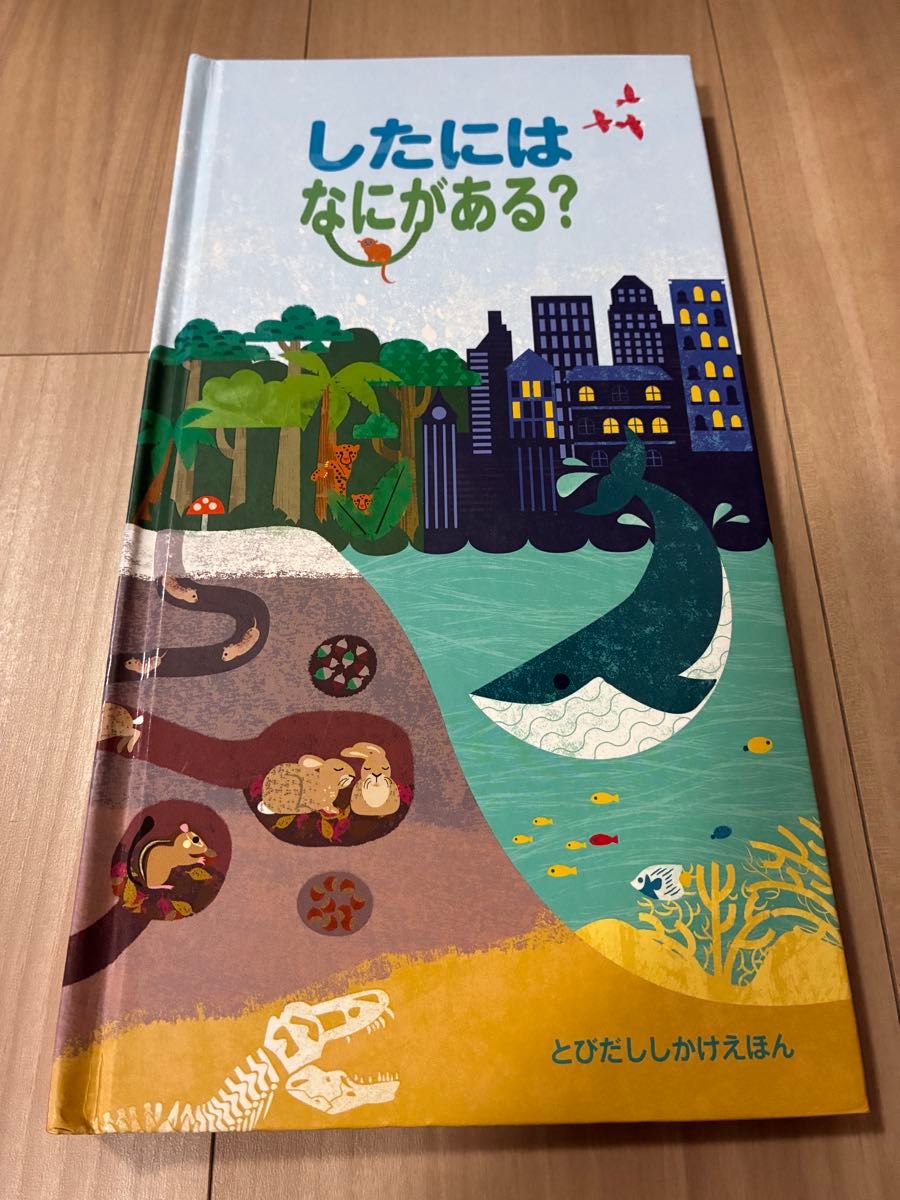 里面有什么？立体翻翻书
