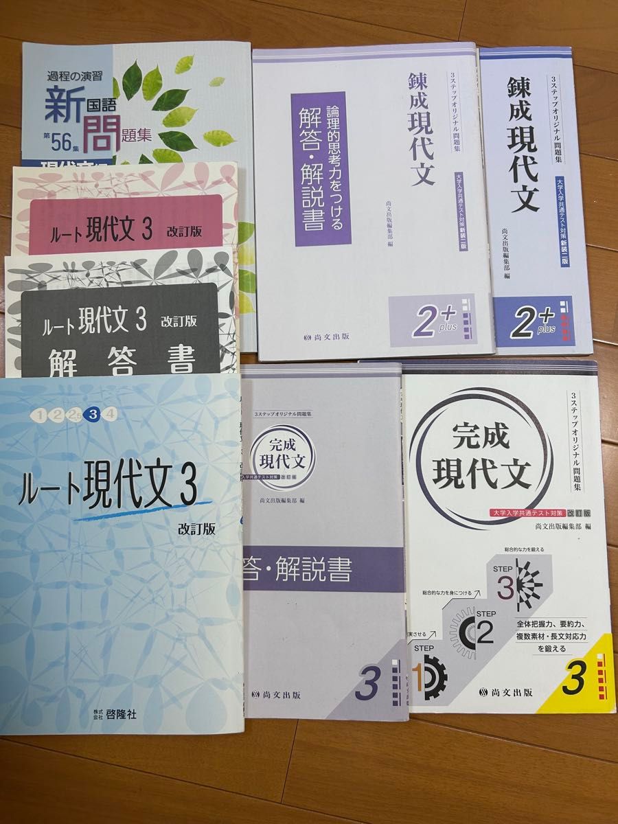 现代文参考书 整套出售 6册套装 根据现代文3 改订版 完成现代文 锻炼现代文 新国语第56集 无答案