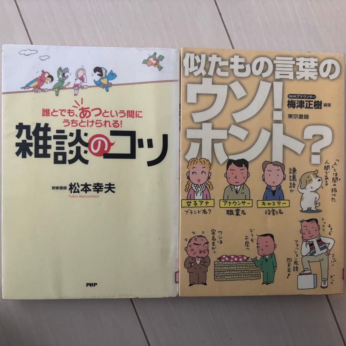 谁都能迅速熟络起来！闲聊技巧 & 相似词语的谎言与真相？2册套装