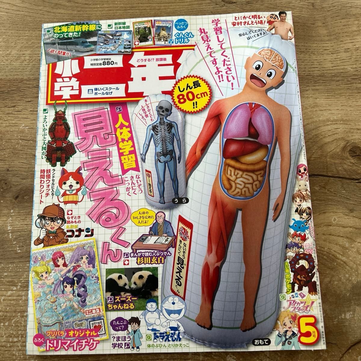 小学二年级 5月号 无附录 2016年 哆啦A梦 北海道新干线 妖怪手表 宝可梦四格漫画