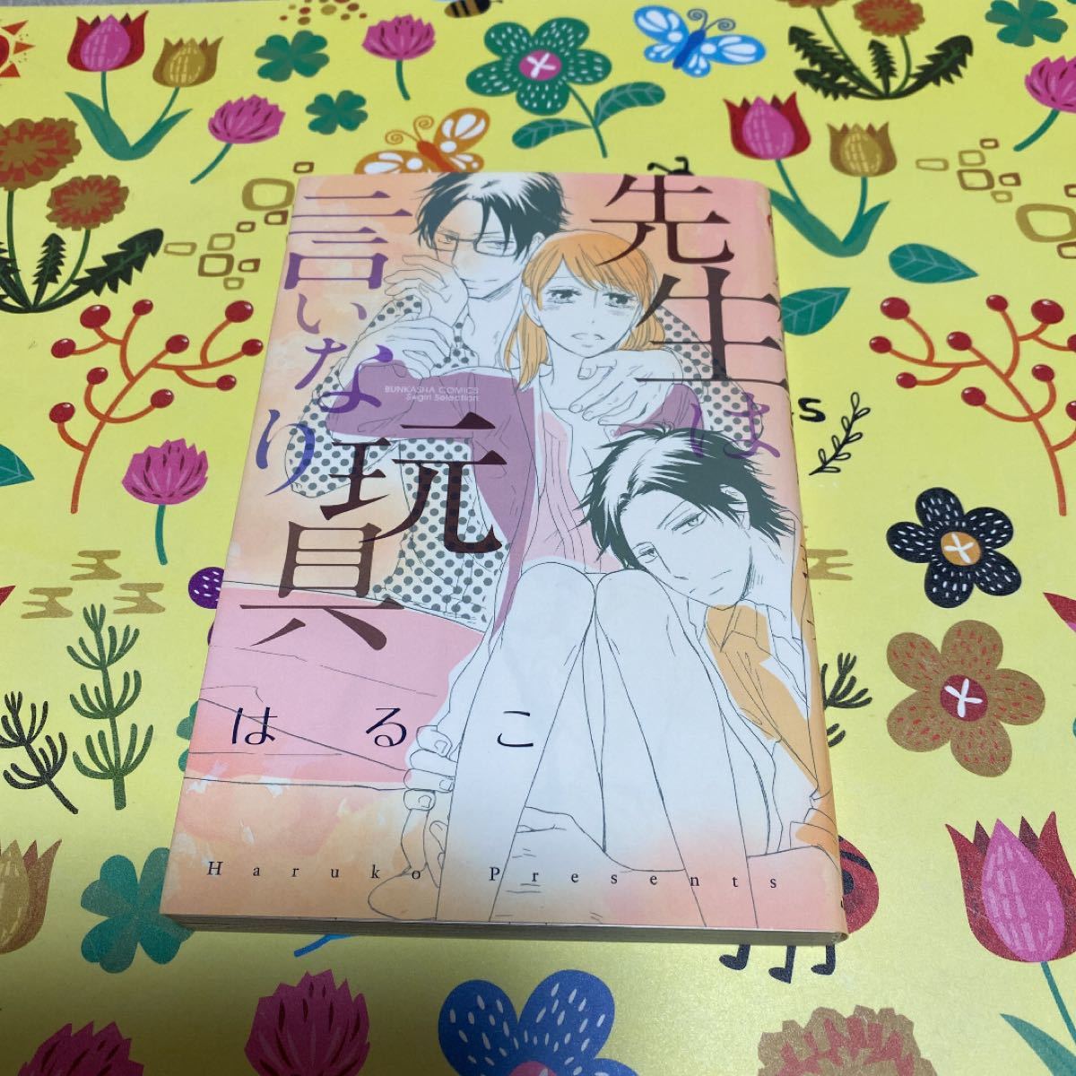 [稀有本] 老师是听话的玩具