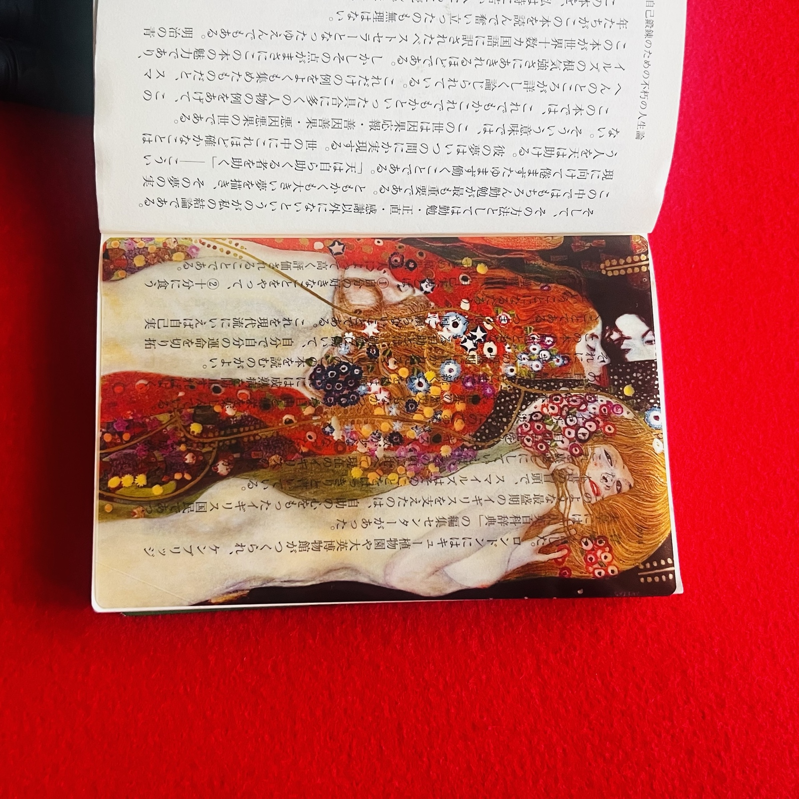 名画的透明书签 “水蛇 Ⅱ” 贝尔贝德莱美术馆藏