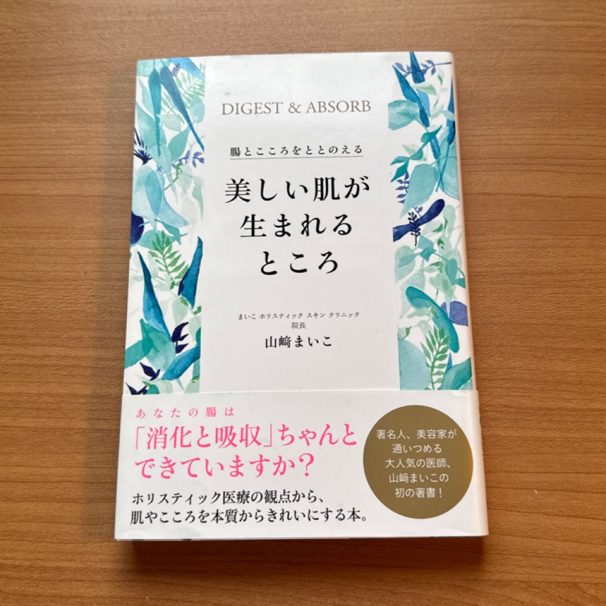 美丽肌肤的诞生之地——调和肠道与心灵（美人绽放系列） 山崎舞子 著
