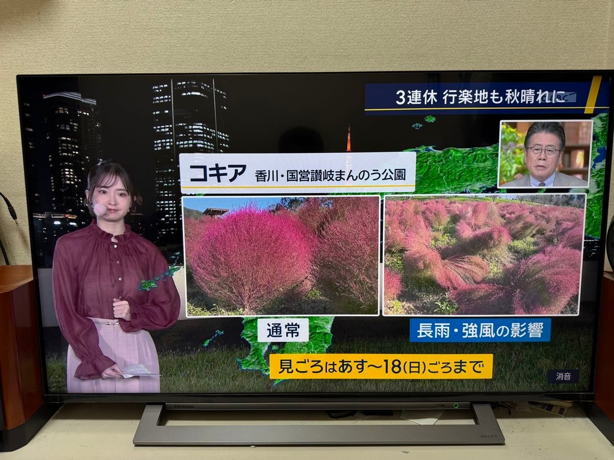 东芝 REGZA 液晶电视 4K 支持 43M530X
