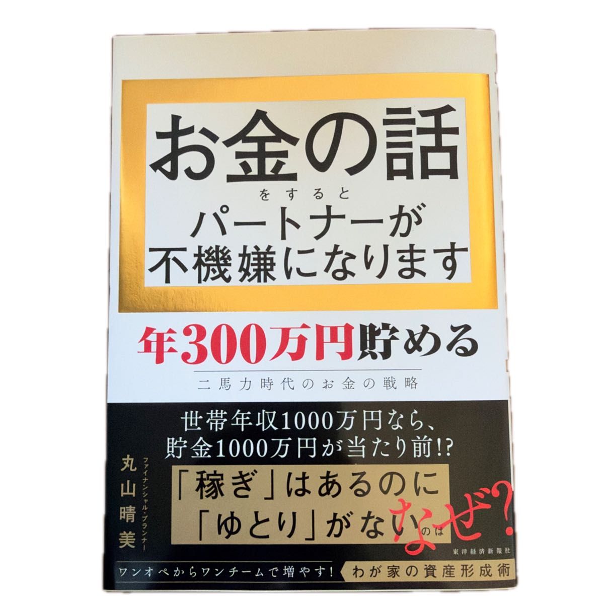 一谈到钱，伴侣就会变得不高兴——年存300万日元的双收入时代理财策略 丸山晴美 著