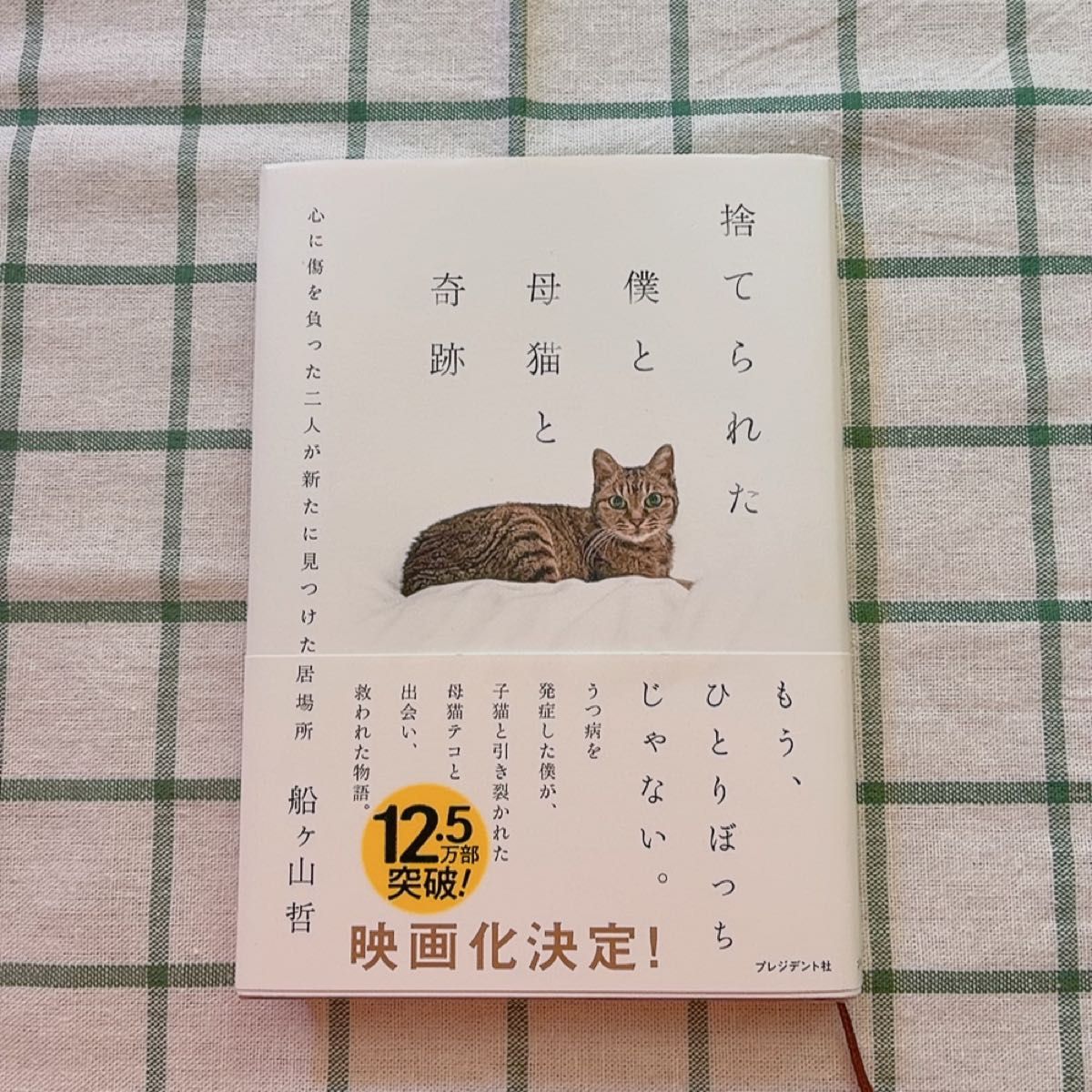 捨てられた僕と母猫と奇跡 心に傷を負った二人が新たに見つけた居場所 船ヶ山哲