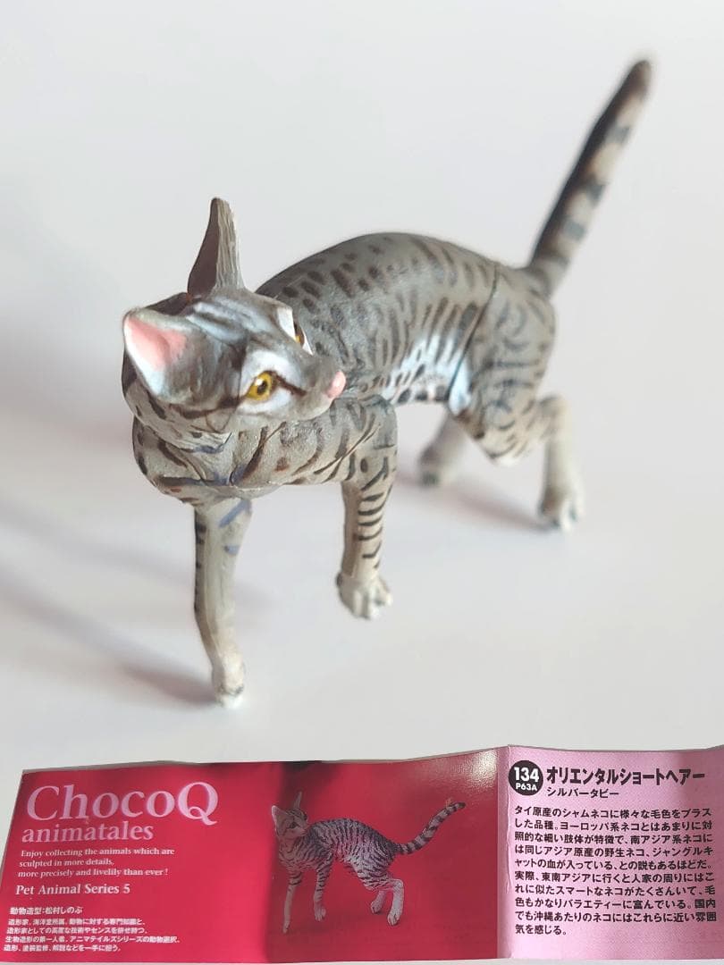 【Unused】Kaiyodo ChocoQ Japanese Animals Series 5 Oriental Shorthair