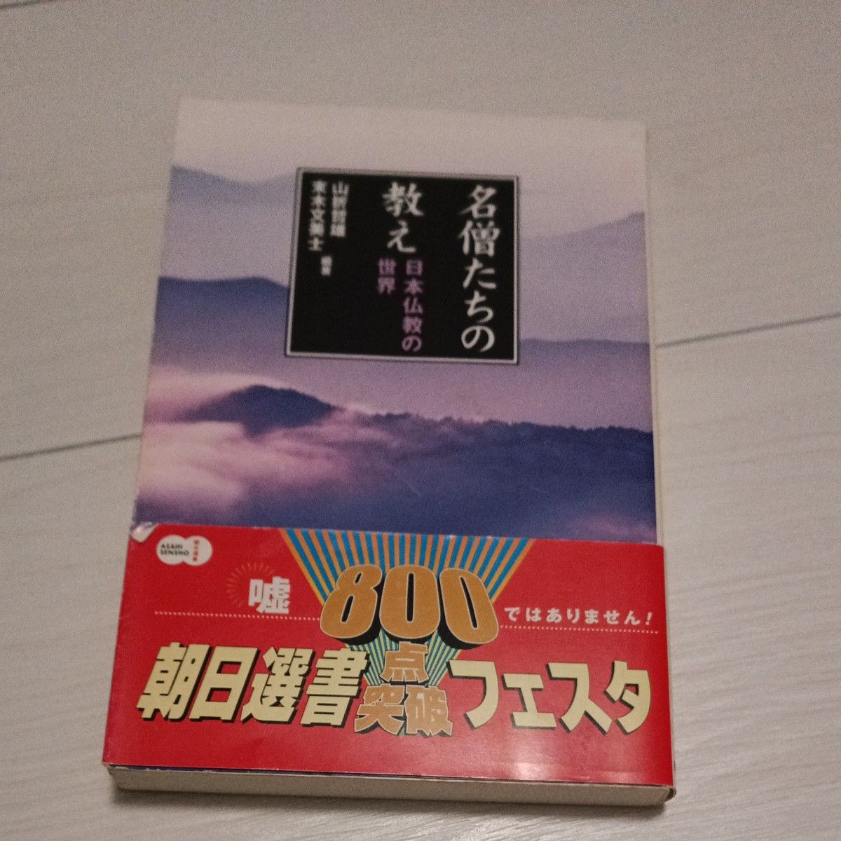 高僧们的教诲:日本佛教的世界 山折正司 著 朝日选书